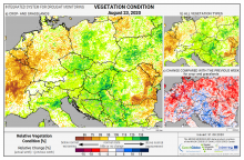 Dopady na vegetaci - Evropa - 23. srpen 2020