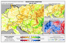 Dopady na vegetaci - Evropa - 30. květen 2021