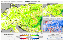 Dopady na vegetaci - Evropa - 13. červen 2021