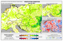 Dopady na vegetaci - Evropa - 20. červen 2021