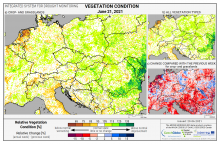 Dopady na vegetaci - Evropa - 21. červen 2021