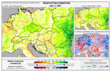 Dopady na vegetaci - Evropa - 11. červenec 2021