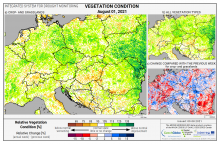 Dopady na vegetaci - Evropa - 1. srpen 2021