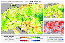 Dopady na vegetaci - Evropa - 29. srpen 2021
